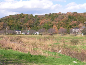 里山の紅葉1