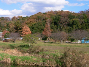 里山の紅葉2