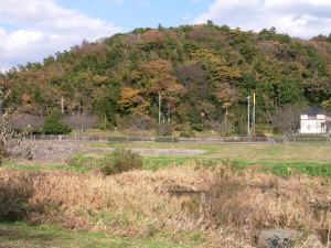 里山の紅葉3