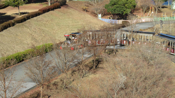 宮ケ瀬湖畔園地内を巡回している汽車型の乗り物の写真