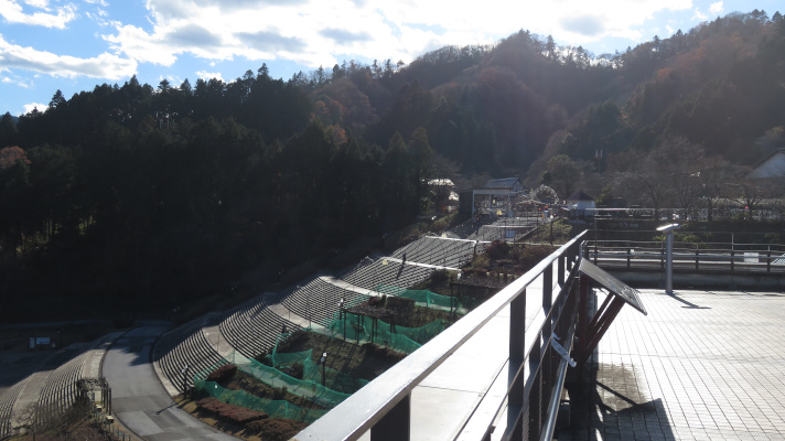 宮ケ瀬湖畔園地の斜面の階段を撮った写真(2)