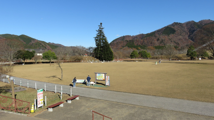 宮ケ瀬湖畔園地を下に降りた広場の写真(2)