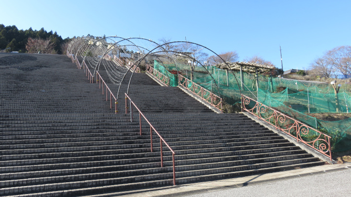 宮ケ瀬湖畔園地の斜面の階段を撮った写真(3)