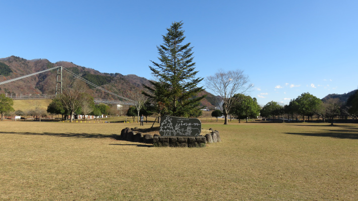 宮ケ瀬湖畔園地のツリーの写真(2)