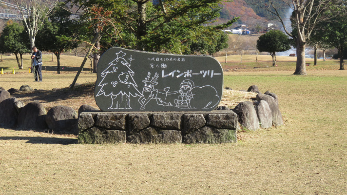 宮ケ瀬湖畔園地のツリーの写真(3)