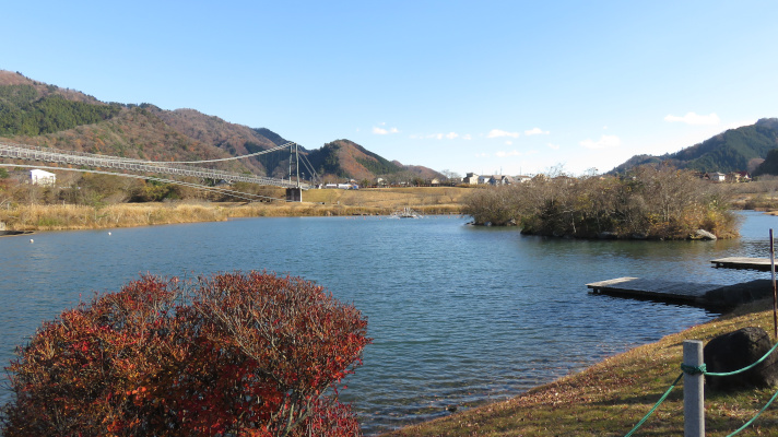 宮ケ瀬湖畔園地の吊り橋の写真(2)