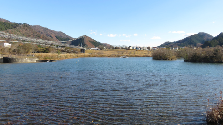宮ケ瀬湖畔園地の吊り橋の写真(3)