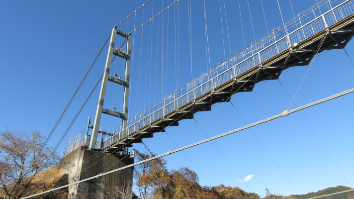 宮ケ瀬湖畔園地の吊り橋を下から見上げた写真